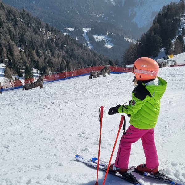 Vacanta 21.02 - 28.02.2026
