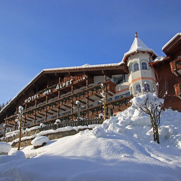 Hotel Des Alpes